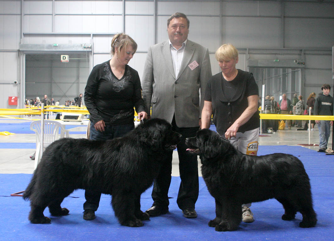 CACIB pes a CACIB fena